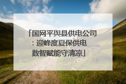国网平舆县供电公司：迎峰度夏保供电  数智赋能守清凉