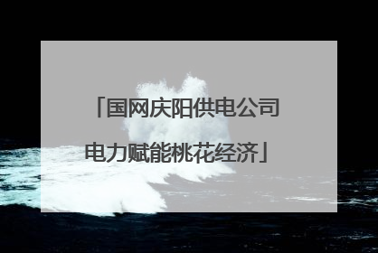 国网庆阳供电公司电力赋能桃花经济