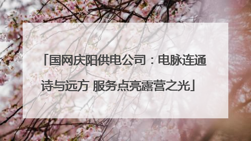 国网庆阳供电公司：电脉连通诗与远方 服务点亮露营之光