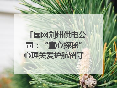 国网荆州供电公司：“童心探秘”心理关爱护航留守儿童成长