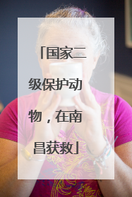 国家二级保护动物，在南昌获救