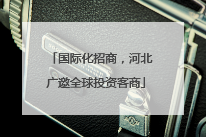 国际化招商，河北广邀全球投资客商