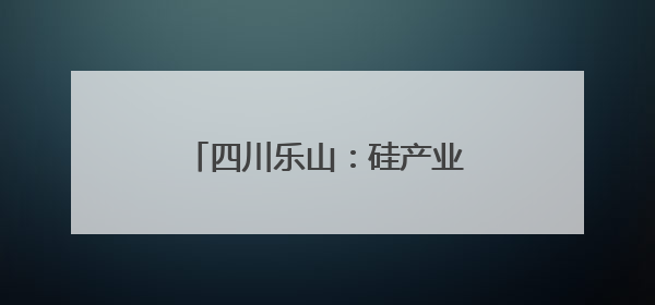 四川乐山：硅产业代表专家齐聚共商技术创新与协同发展