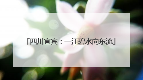 四川宜宾：一江碧水向东流