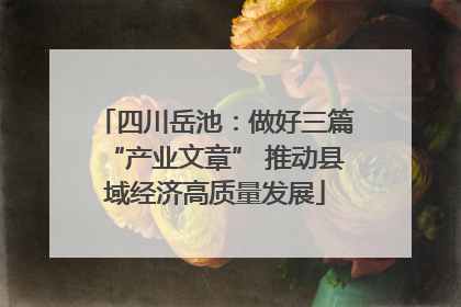 四川岳池：做好三篇“产业文章” 推动县域经济高质量发展