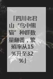 四川老君山“鸟中熊猫”种群数量翻番，繁殖率从15%升至32%