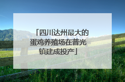 四川达州最大的蛋鸡养殖场在普光镇建成投产