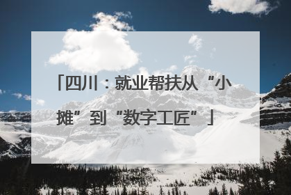 四川：就业帮扶从“小摊”到“数字工匠”