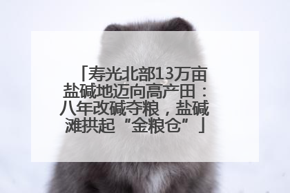 寿光北部13万亩盐碱地迈向高产田：八年改碱夺粮，盐碱滩拱起“金粮仓”