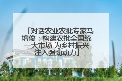 对话农业农批专家马增俊：构建农批全国统一大市场 为乡村振兴注入强劲动力