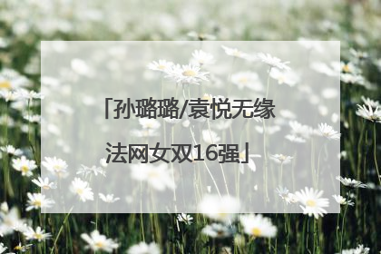 孙璐璐/袁悦无缘法网女双16强