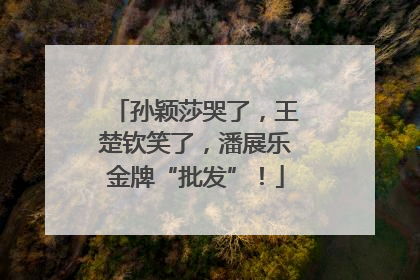 孙颖莎哭了，王楚钦笑了，潘展乐金牌“批发”！