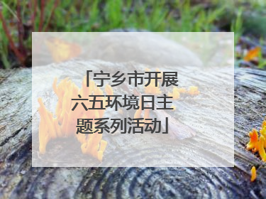 宁乡市开展六五环境日主题系列活动