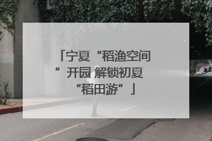 宁夏“稻渔空间”开园 解锁初夏“稻田游”