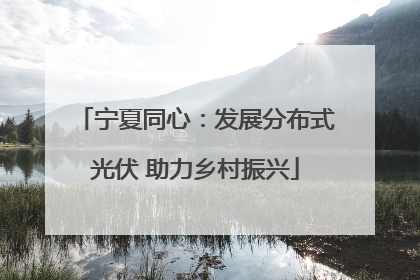 宁夏同心：发展分布式光伏 助力乡村振兴