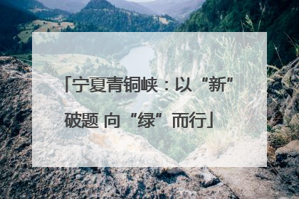 宁夏青铜峡：以“新”破题 向“绿”而行