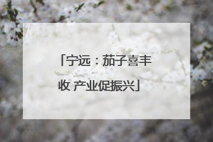 宁远：茄子喜丰收 产业促振兴