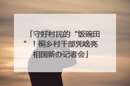 守好村民的“饭碗田”！桐乡村干部凭啥亮相国新办记者会