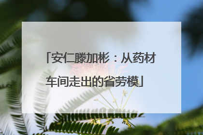安仁滕加彬：从药材车间走出的省劳模