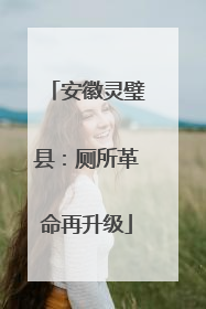 安徽灵璧县：厕所革命再升级