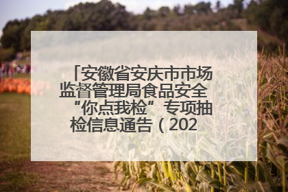 安徽省安庆市市场监督管理局食品安全“你点我检”专项抽检信息通告（2025年第27期）