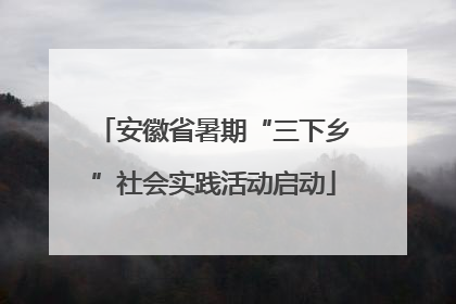 安徽省暑期“三下乡”社会实践活动启动