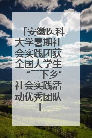 安徽医科大学暑期社会实践团获全国大学生“三下乡”社会实践活动优秀团队