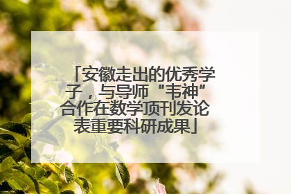 安徽走出的优秀学子，与导师“韦神”合作在数学顶刊发论表重要科研成果