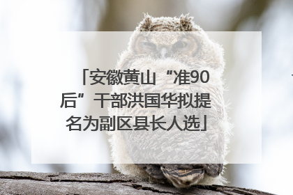 安徽黄山“准90后”干部洪国华拟提名为副区县长人选