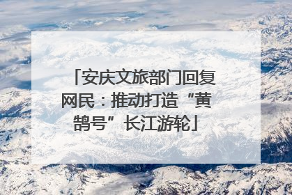 安庆文旅部门回复网民：推动打造“黄鹄号”长江游轮