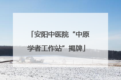 安阳中医院“中原学者工作站”揭牌