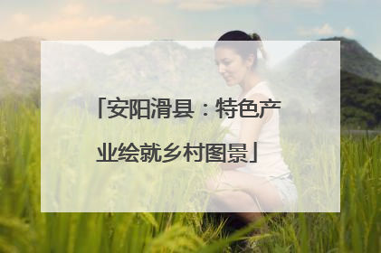 安阳滑县：特色产业绘就乡村图景