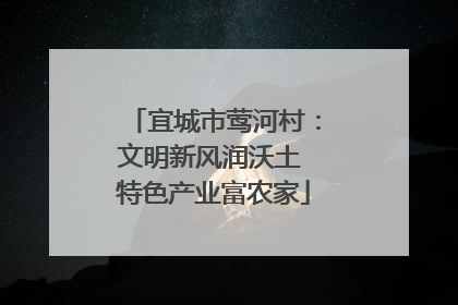 宜城市莺河村：文明新风润沃土 特色产业富农家