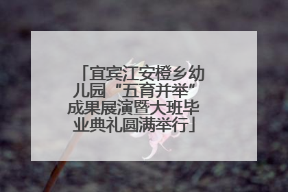 宜宾江安橙乡幼儿园“五育并举”成果展演暨大班毕业典礼圆满举行