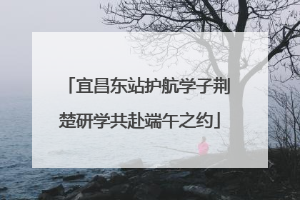 宜昌东站护航学子荆楚研学共赴端午之约