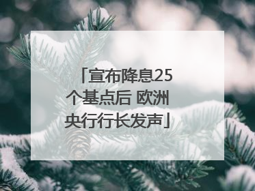 宣布降息25个基点后 欧洲央行行长发声