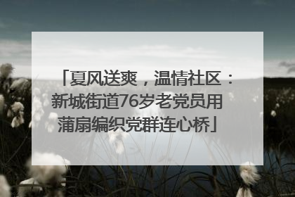 夏风送爽，温情社区：新城街道76岁老党员用蒲扇编织党群连心桥