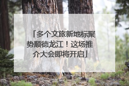 多个文旅新地标聚势顺德龙江！这场推介大会即将开启