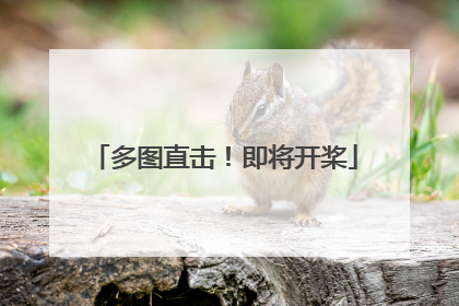 多图直击！即将开桨