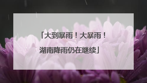 大到暴雨！大暴雨！湖南降雨仍在继续