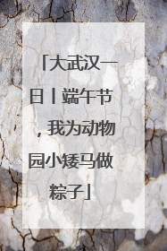 大武汉一日丨端午节，我为动物园小矮马做粽子