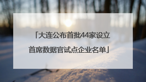 大连公布首批44家设立首席数据官试点企业名单