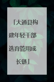 大通县构建年轻干部选育管用成长链