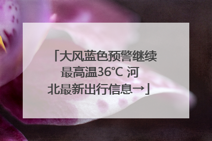 大风蓝色预警继续 最高温36℃ 河北最新出行信息→