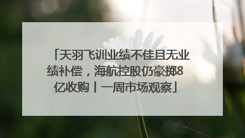 天羽飞训业绩不佳且无业绩补偿，海航控股仍豪掷8亿收购丨一周市场观察