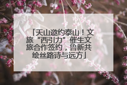 天山邀约泰山！文旅“西引力”催生文旅合作签约，鲁新共绘丝路诗与远方