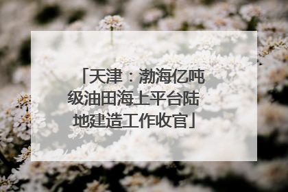 天津：渤海亿吨级油田海上平台陆地建造工作收官