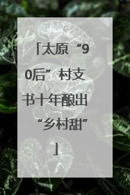 太原“90后”村支书十年酿出“乡村甜”