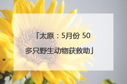 太原：5月份 50多只野生动物获救助