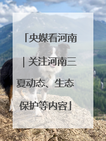 央媒看河南｜关注河南三夏动态、生态保护等内容